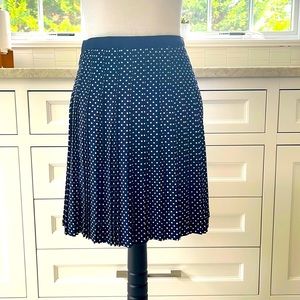 J. Crew Navy / White Pleated Skirt